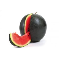 Plantas de sandia negra - Comprar planta sandia negra