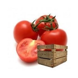TOMATE TOLEDO(GORDO RASTRERO)