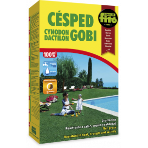 copy of SEMILLAS G-PIMIENTO MAOR