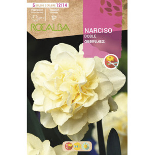 NARCISO DOBLE EBND5605