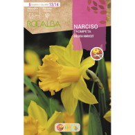 NARCISO TROMPETA GOLDEN HARVEST -AMARILLO