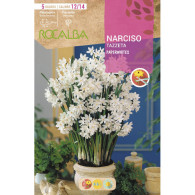 NARCISO TAZZETA PAPERWHITES -BLANCO