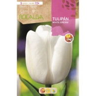 TULIPÁN WHITE DREAM -BLANCO PURO