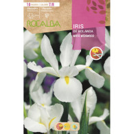 IRIS WHITE WEDGWOOD -BLANCO