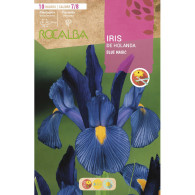 IRIS BLUE MAGIC -AZUL INTENSO