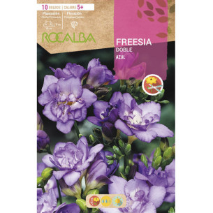 FREESIAS DOBLES -AZUL