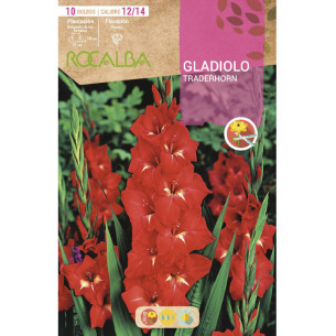 copy of NARCISO TROMPETA GOLDEN HARVEST -AMARILLO