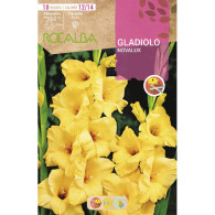 GLADIOLO NOVALUX -AMARILLO