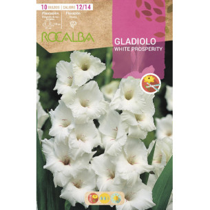 copy of NARCISO TROMPETA GOLDEN HARVEST -AMARILLO