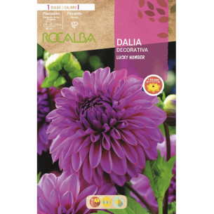 copy of NARCISO TROMPETA GOLDEN HARVEST -AMARILLO