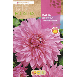 copy of NARCISO TROMPETA GOLDEN HARVEST -AMARILLO