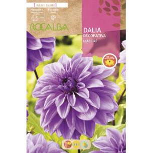 copy of NARCISO TROMPETA GOLDEN HARVEST -AMARILLO