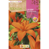 LILIUM GRAN PARADISO -ROJO