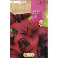 LILIUM BLACK OUT -ROJO OSCURO