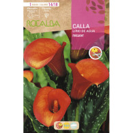 CALLA FIRELIGHT -NARANJA
