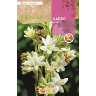 NARDOS BLANCO