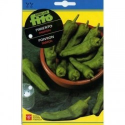 SEMILLAS G-PIMIENTO PADRON