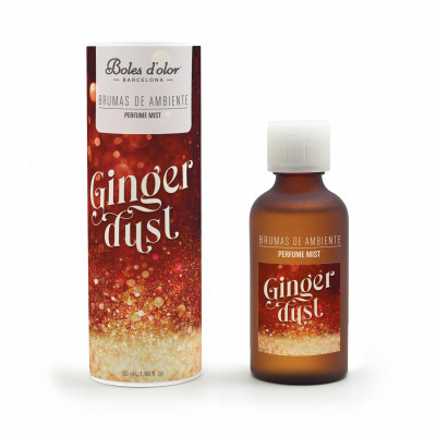 BRUMA AMBIENTS 50 ML GINGER DUST