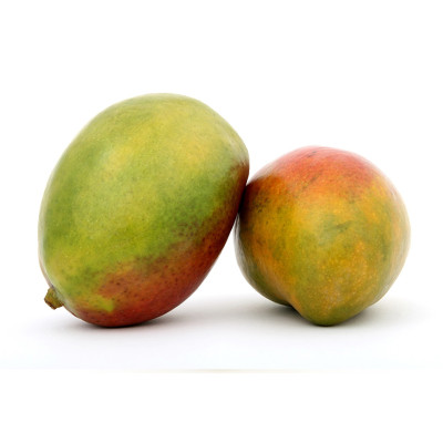 Mango osteen| El Huerto Deitana ® Mango osteen| El Huerto Deitana ®