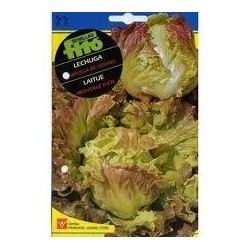 SEMILLAS G-LECHUGA MARAV.VERANO