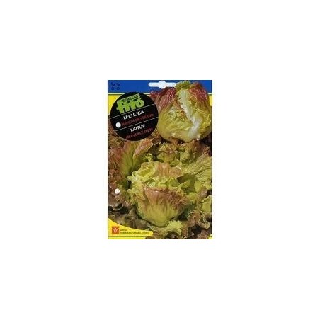 Lechuga Maravilla (Semillas) | El Huerto Deitana ®