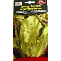 SEMILLAS G-LECHUGA ROM.L.VERDE