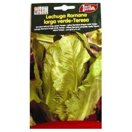 SEMILLAS G-LECHUGA ROM.L.VERDE