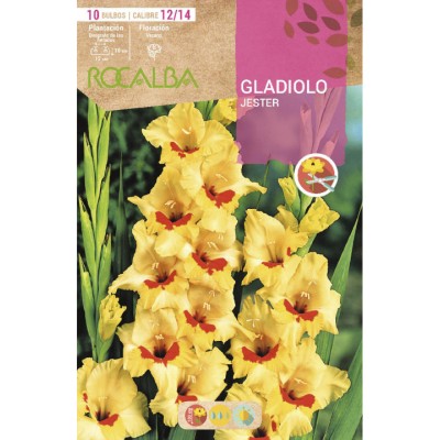 copy of NARCISO TROMPETA GOLDEN HARVEST -AMARILLO