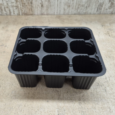 Do you need a semperviven cypress? Visit our catalogue