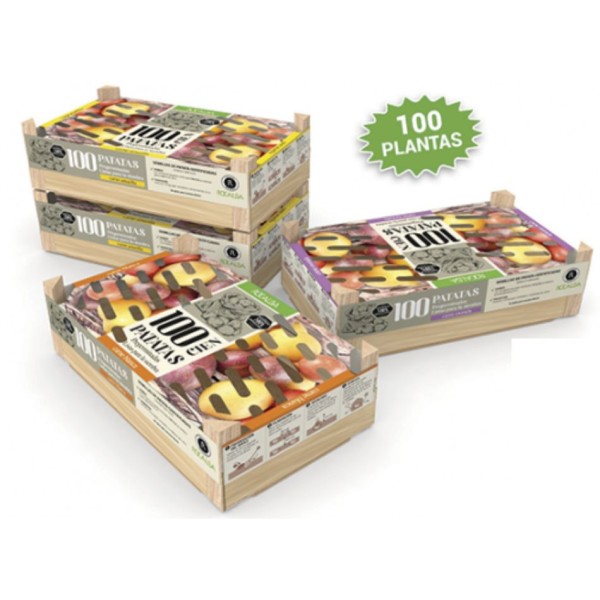 PATATAS DE SIEMBRA AGRIA (SEMILLAS)