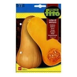 S-PUMPKIN WALTHAM S-PUMPKIN WALTHAM