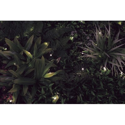 JARDIN VERTICAL SAUVAGE LED 1 X 1 M