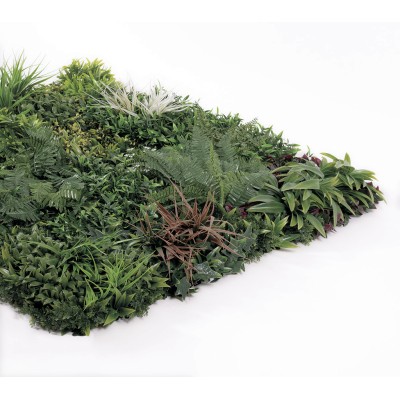 JARDIN VERTICAL SAUVAGE 1 X 1 M