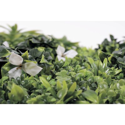 JARDIN VERTICAL EXOTIC 1 X 1 M