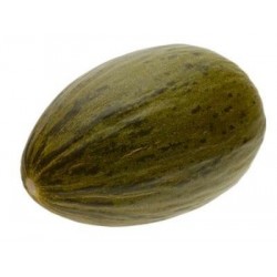 Pack 9 uds. PLANTAS DE MELON PIEL DE SAPO