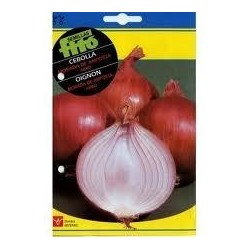 PURPLE G-ONION SEEDS