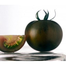 Pack 9 pcs. BLACK TOMATE