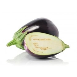 Paris Aubergine Plants - Paris Eggplant Plant