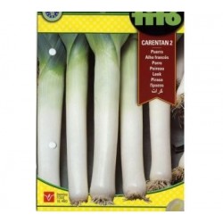 Puerro Carentan 2 (Semillas) | El Huerto Deitana ®