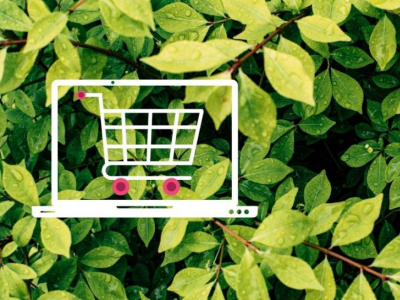 Comprar plantas online nunca fue tan sencillo
